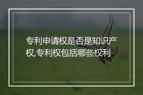 专利申请权是否是知识产权,专利权包括哪些权利