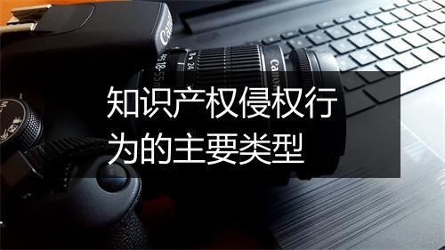 知识产权侵权行为的主要类型