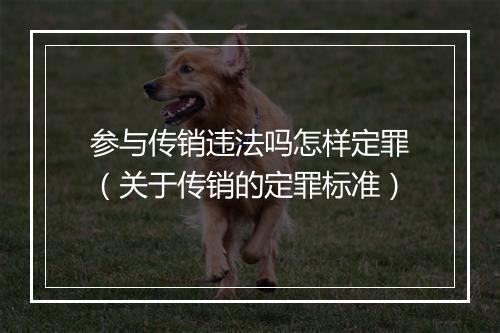 参与传销违法吗怎样定罪（关于传销的定罪标准）
