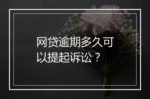 网贷逾期多久可以提起诉讼？