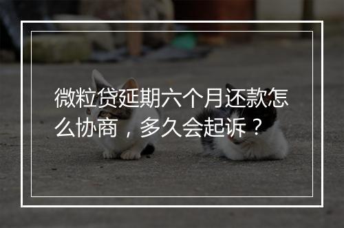 微粒贷延期六个月还款怎么协商，多久会起诉？