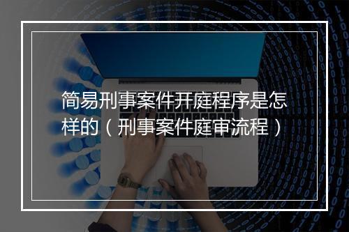 简易刑事案件开庭程序是怎样的（刑事案件庭审流程）