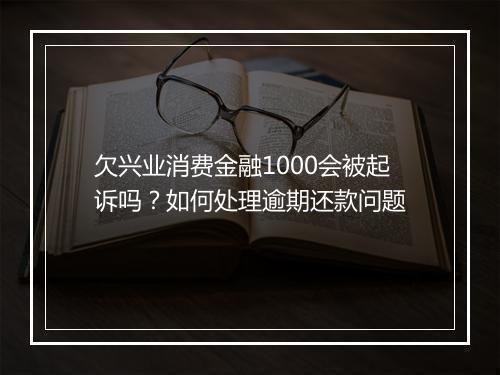 欠兴业消费金融1000会被起诉吗？如何处理逾期还款问题