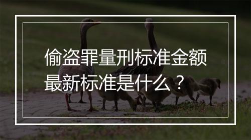 偷盗罪量刑标准金额最新标准是什么？