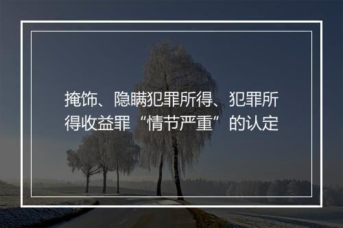 掩饰、隐瞒犯罪所得、犯罪所得收益罪“情节严重”的认定