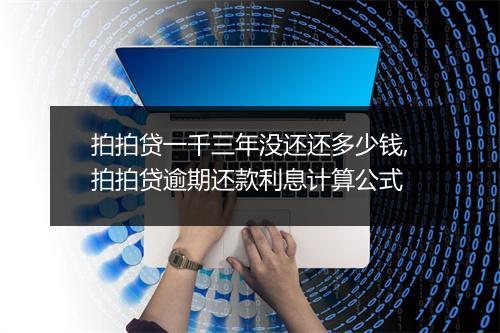 拍拍贷一千三年没还还多少钱,拍拍贷逾期还款利息计算公式