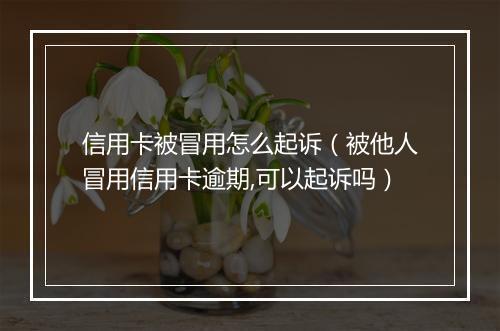 信用卡被冒用怎么起诉（被他人冒用信用卡逾期,可以起诉吗）