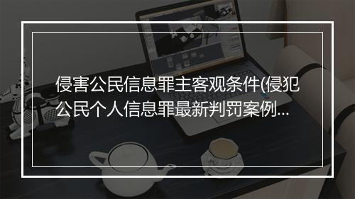 侵害公民信息罪主客观条件(侵犯公民个人信息罪最新判罚案例)