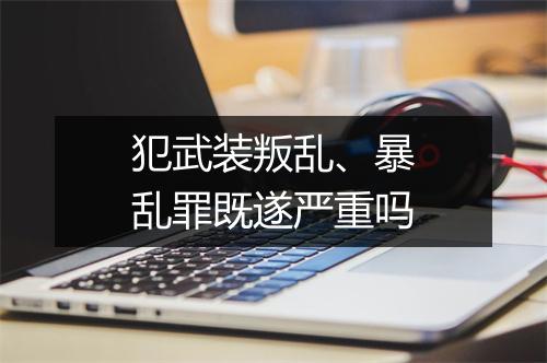 犯武装叛乱、暴乱罪既遂严重吗