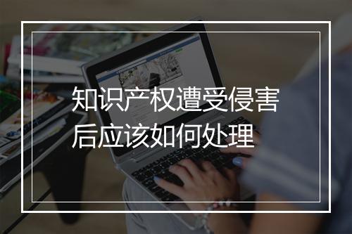 知识产权遭受侵害后应该如何处理