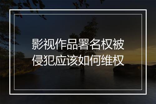 影视作品署名权被侵犯应该如何维权