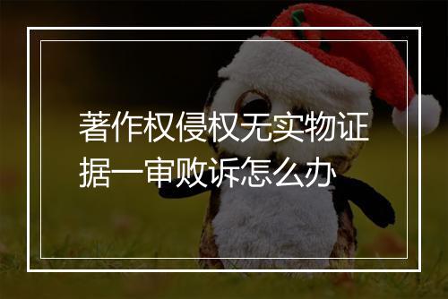 著作权侵权无实物证据一审败诉怎么办