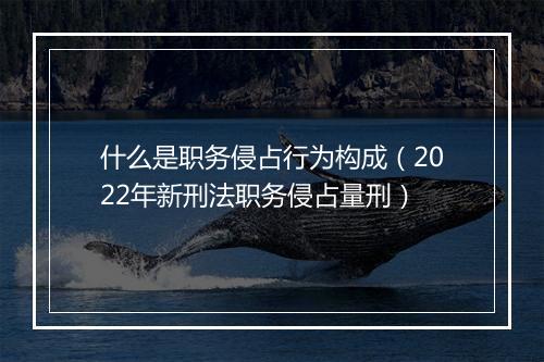 什么是职务侵占行为构成（2022年新刑法职务侵占量刑）