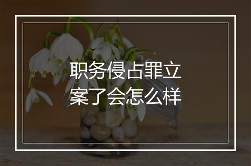 职务侵占罪立案了会怎么样