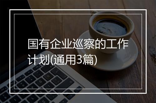 国有企业巡察的工作计划(通用3篇)