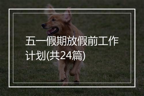 五一假期放假前工作计划(共24篇)
