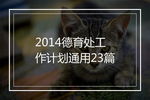 2014德育处工作计划通用23篇