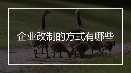 企业改制的方式有哪些