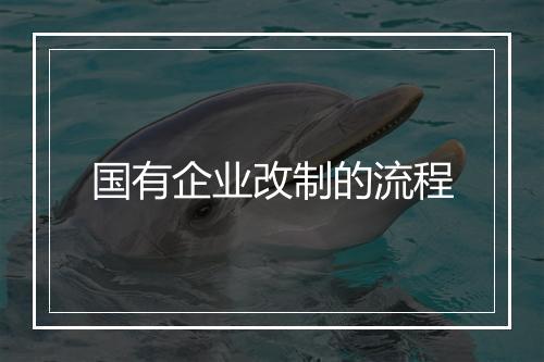 国有企业改制的流程