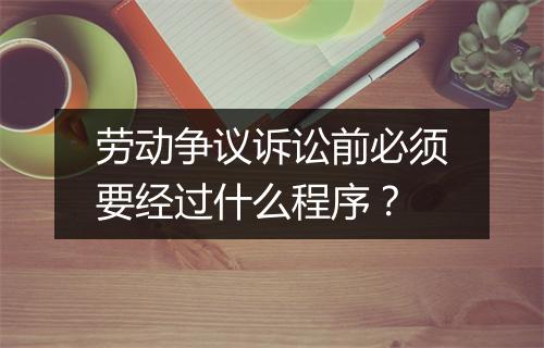 劳动争议诉讼前必须要经过什么程序？