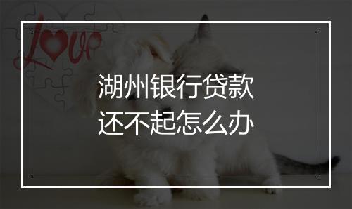 湖州银行贷款还不起怎么办