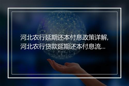 河北农行延期还本付息政策详解,河北农行贷款延期还本付息流程