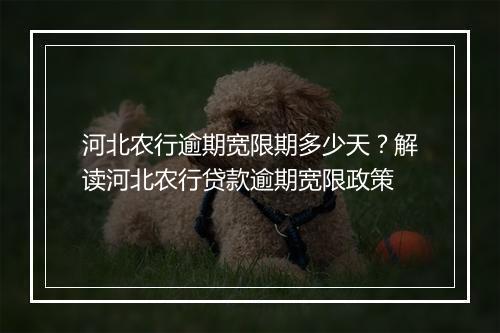 河北农行逾期宽限期多少天？解读河北农行贷款逾期宽限政策