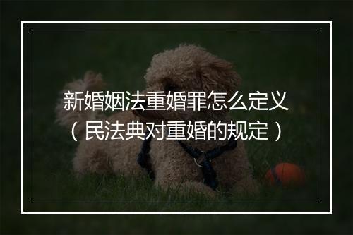 新婚姻法重婚罪怎么定义（民法典对重婚的规定）