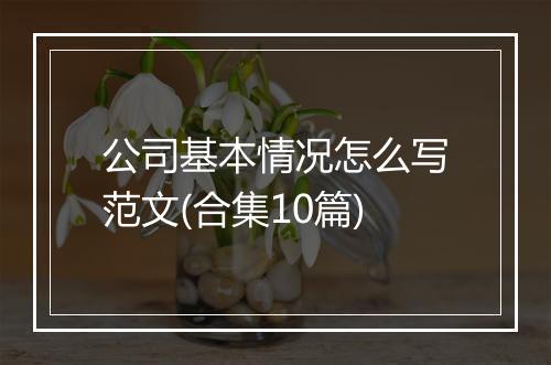 公司基本情况怎么写范文(合集10篇)
