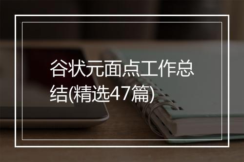谷状元面点工作总结(精选47篇)