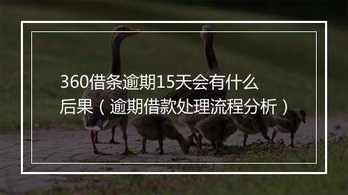 360借条逾期15天会有什么后果（逾期借款处理流程分析）