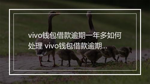 vivo钱包借款逾期一年多如何处理 vivo钱包借款逾期一年多会有什么后果