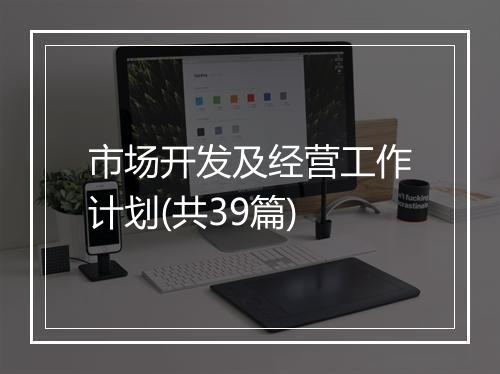 市场开发及经营工作计划(共39篇)