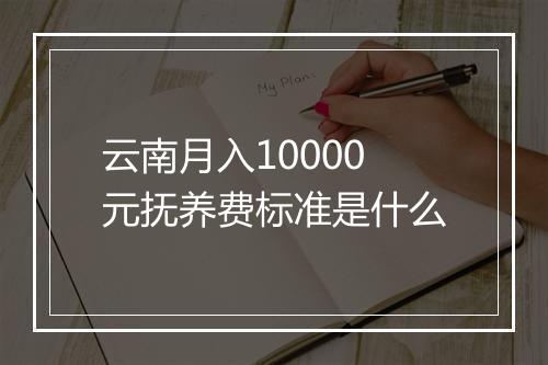 云南月入10000元抚养费标准是什么