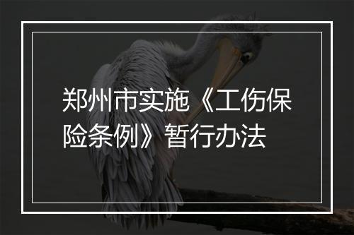 郑州市实施《工伤保险条例》暂行办法