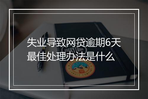 失业导致网贷逾期6天最佳处理办法是什么