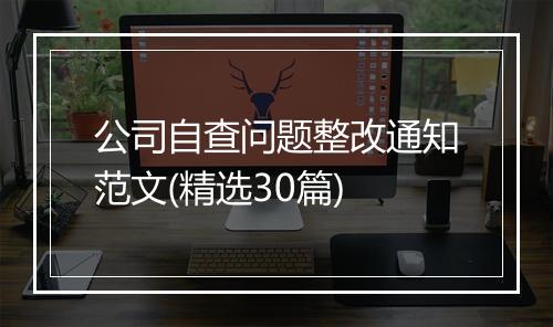 公司自查问题整改通知范文(精选30篇)