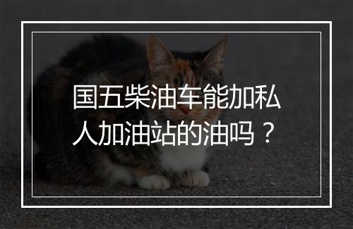 国五柴油车能加私人加油站的油吗？