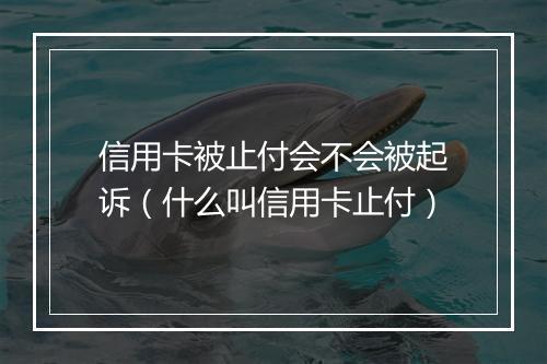 信用卡被止付会不会被起诉（什么叫信用卡止付）