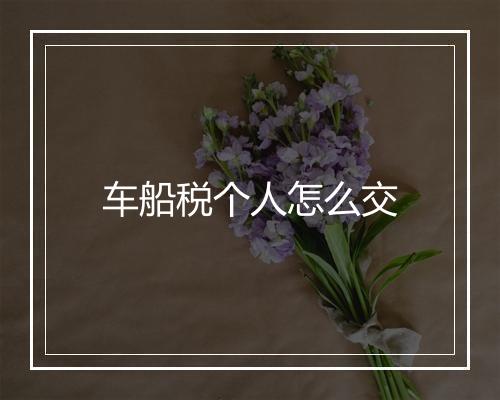 车船税个人怎么交
