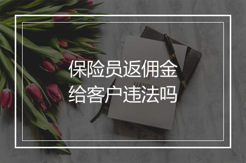保险员返佣金给客户违法吗