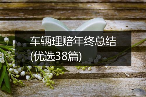 车辆理赔年终总结(优选38篇)