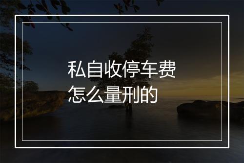 私自收停车费怎么量刑的