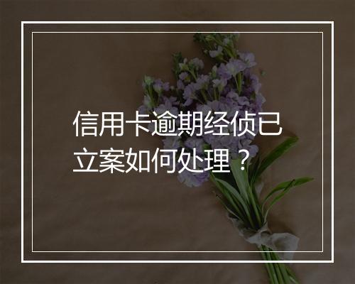 信用卡逾期经侦已立案如何处理？
