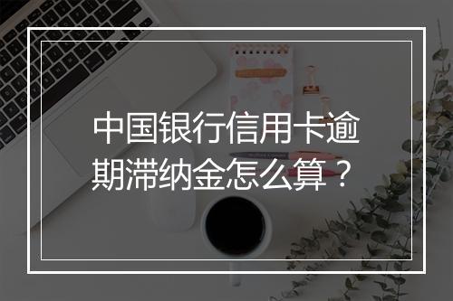 中国银行信用卡逾期滞纳金怎么算？