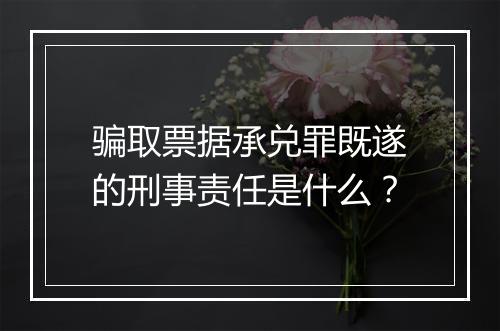 骗取票据承兑罪既遂的刑事责任是什么？