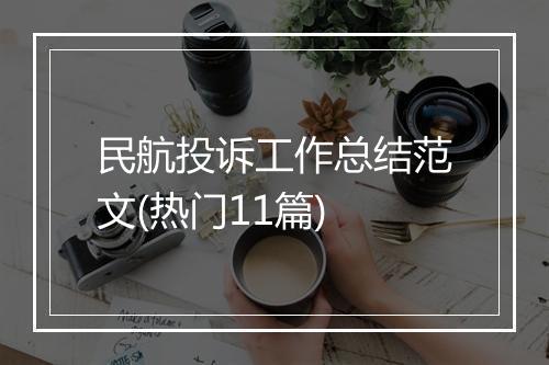 民航投诉工作总结范文(热门11篇)