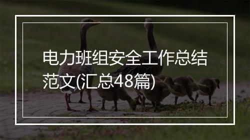 电力班组安全工作总结范文(汇总48篇)