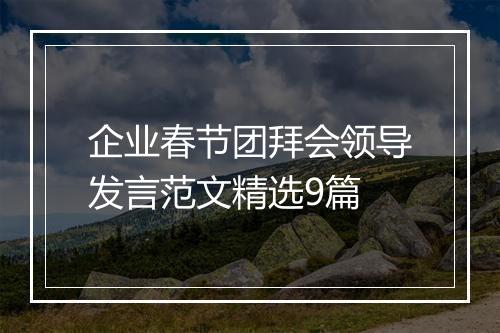 企业春节团拜会领导发言范文精选9篇
