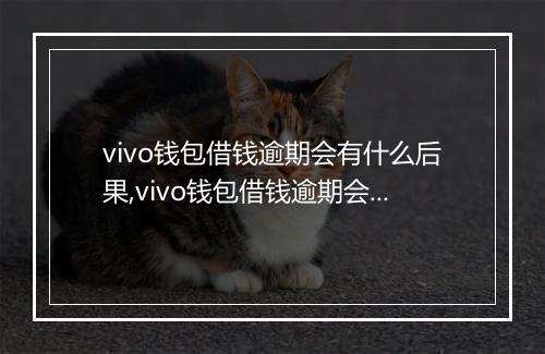 vivo钱包借钱逾期会有什么后果,vivo钱包借钱逾期会被催收吗